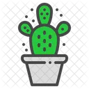 Cactus orejas de conejo  Icono