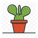 Cactus oreja de conejo  Icono