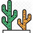Cactus Cactus Plant Desert Cactus Icon