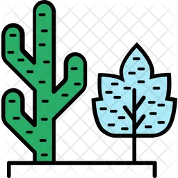 Cactus Plant  Icon