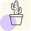 Cactus Plant Farm Icon