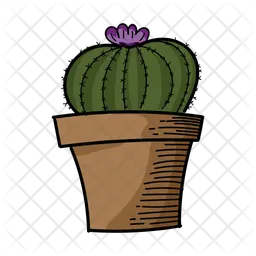 Cactus Plant  Icon