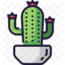 Cactus Plant  Icon