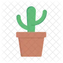 Cactus Plant Cactus Pot Cactus Icon