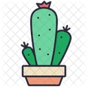 Cactus Plant Cactus Pot Plant Icon