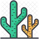 Cactus Plant Desert Icon