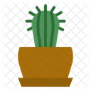 선인장 식물  아이콘
