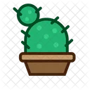 Kaktus Flat Copy Cactus Plant Icon