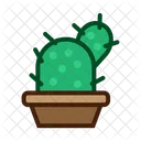 Cactus Plant Nature Icon