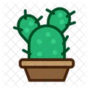 Kaktus Flat Copy Cactus Plant Icon