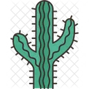 Cactus Plant Cactus Thorn Icon