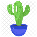 Cacti Cactus Plant Prickly Plant Icon