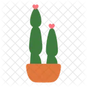 Cactus Plant Cactus Pot Succulent Icon