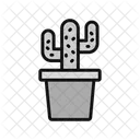 Cactus Plant Cactus Decoration Icon