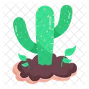 Cacti Plant Cactus Plant Prickly Plant Icon