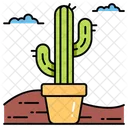 Cactus Plant Cacti Green Icon