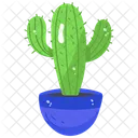 Cactus Plant  Icon