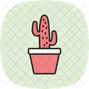 Cactus Plant Farm Icon
