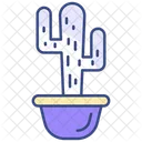 Cactus plant  Icon