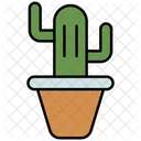 Cactus Plant Cactus Plant Icon