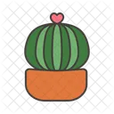 Cactus Plant  Icon