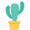 Cactus Plant  Icon