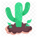 Cacti Plant Cactus Plant Prickly Plant Icon
