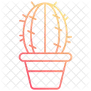 Cactus Pot Cactus Plant Icon