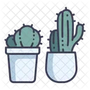 Cactus Plant Decoration Icon