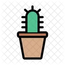 Cactus Pot Plant Nature Icon