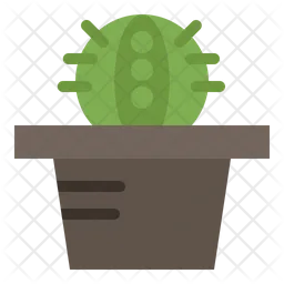 Cactus Pot  Icon