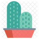 Cactus Pot Cactus Plant Pot Icon