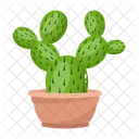 Cactus Pot  Icon