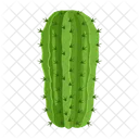 Cactus Pot Desert Plant Cacti Pot Icon