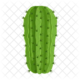 Cactus Pot  Icon