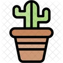 Cactus Pot Cactus Plant Cactus Plat Icon
