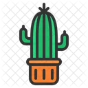Cactus Pot Cactus Plant Icon