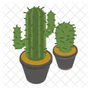 Pot Plants Gardening Icon