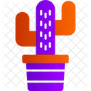 Cactus Pot  Icon