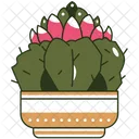 Cactus Powder Puff Pink Icon