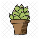 Cactus rosa y verde  Icono