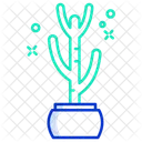 Cactus Saguaro Cactus Pot Cactus Plant Icon