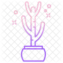 Cactus Saguaro Cactus Pot Cactus Plant Icon