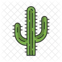 Cacto saguaro  Icono