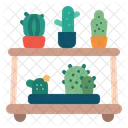 Cactus Shelf Cactus Shelf Icon