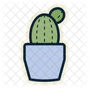 Cactus  Icon