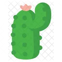 Cactus  Icon