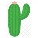 Cactus  Icon