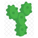 Cactus  Icon