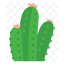Cactus  Icon